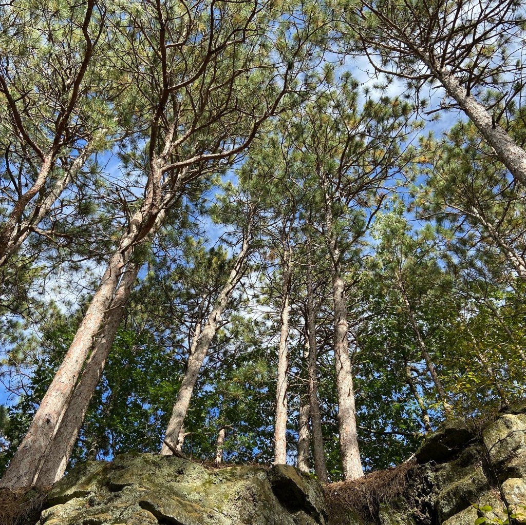 Explore Wisconsin’s Best State Parks: A Guide to 49 Must-Visit&nbsp;Spots