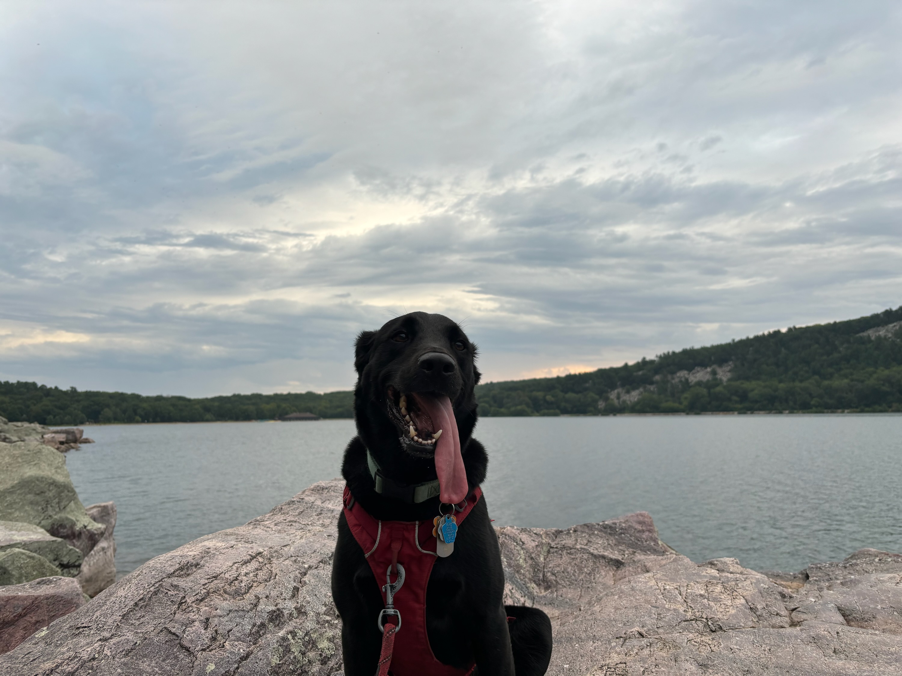 13 Best Hikes Near Madison, Wisconsin